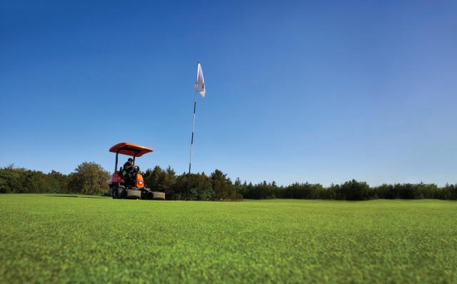 Turf grasses for sport & landscape