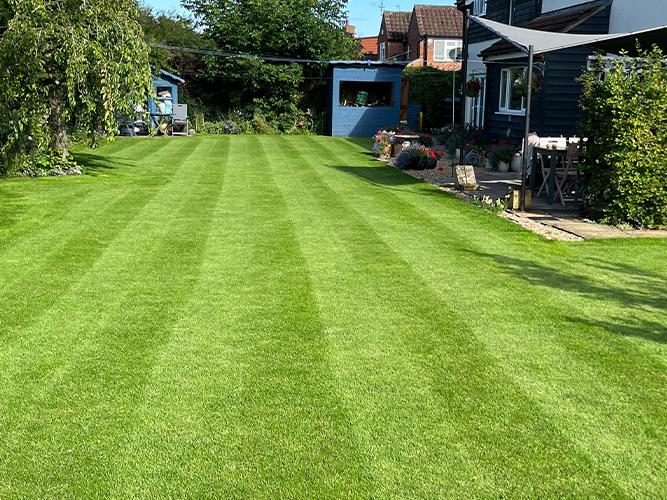 PM 50 Nitro Quality Lawn