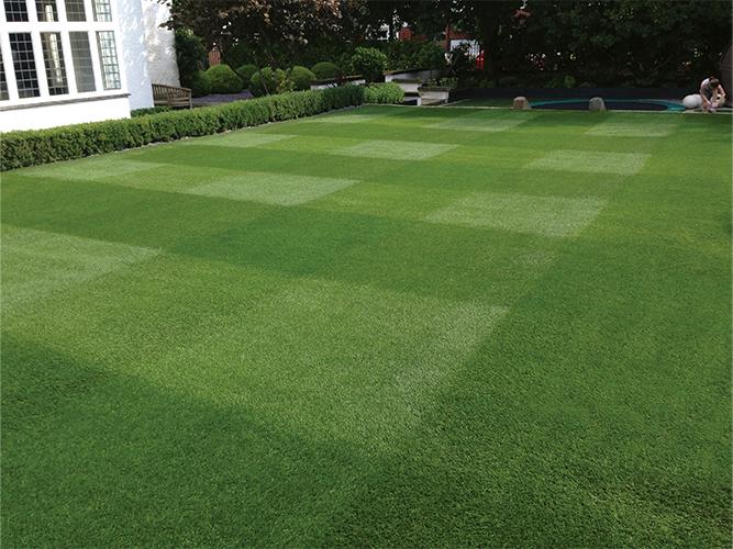 PM 50 Quality lawn