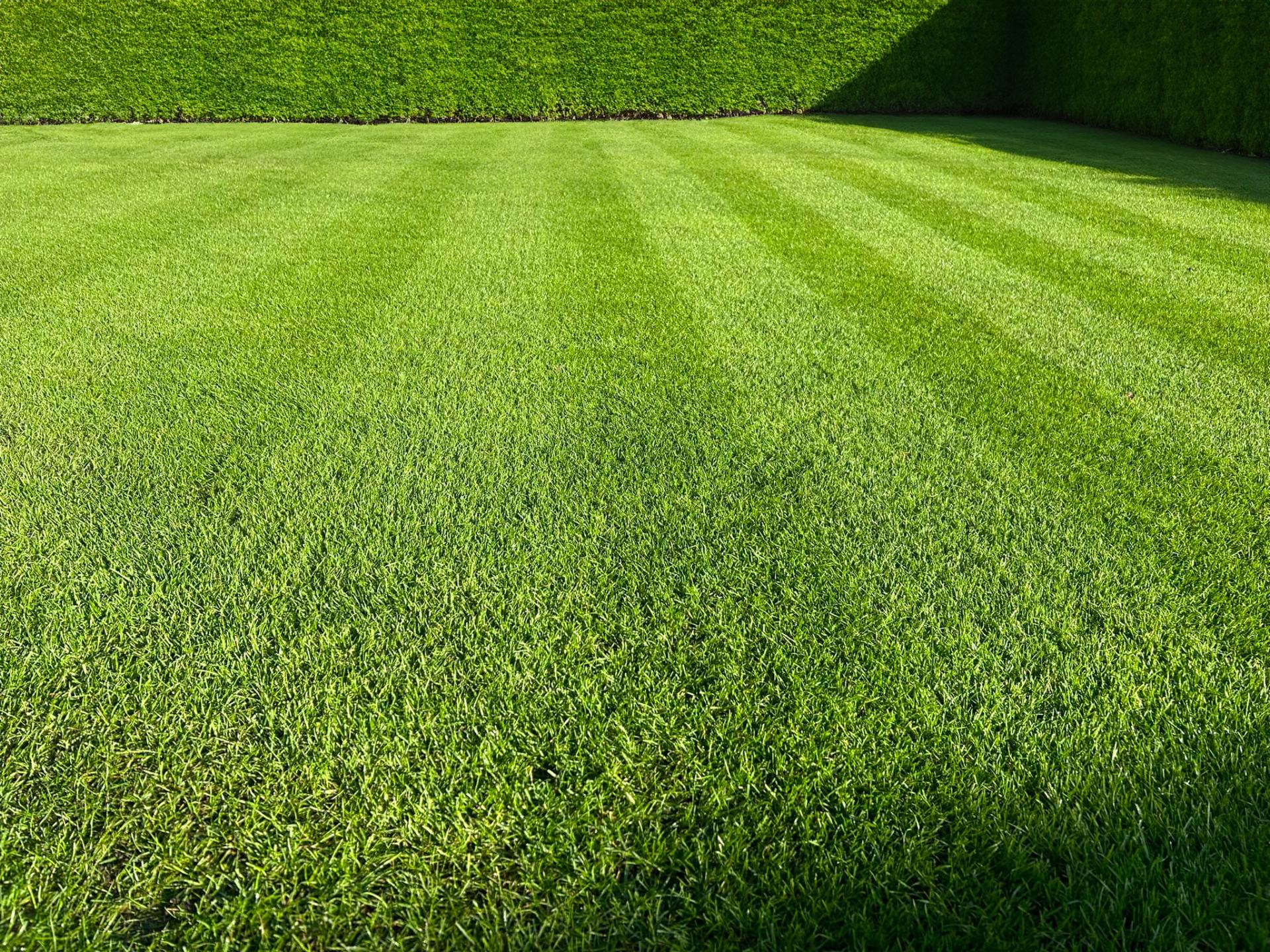 Revive your garden for summer with Quick Lawn – the ultimate solution for weathered turf