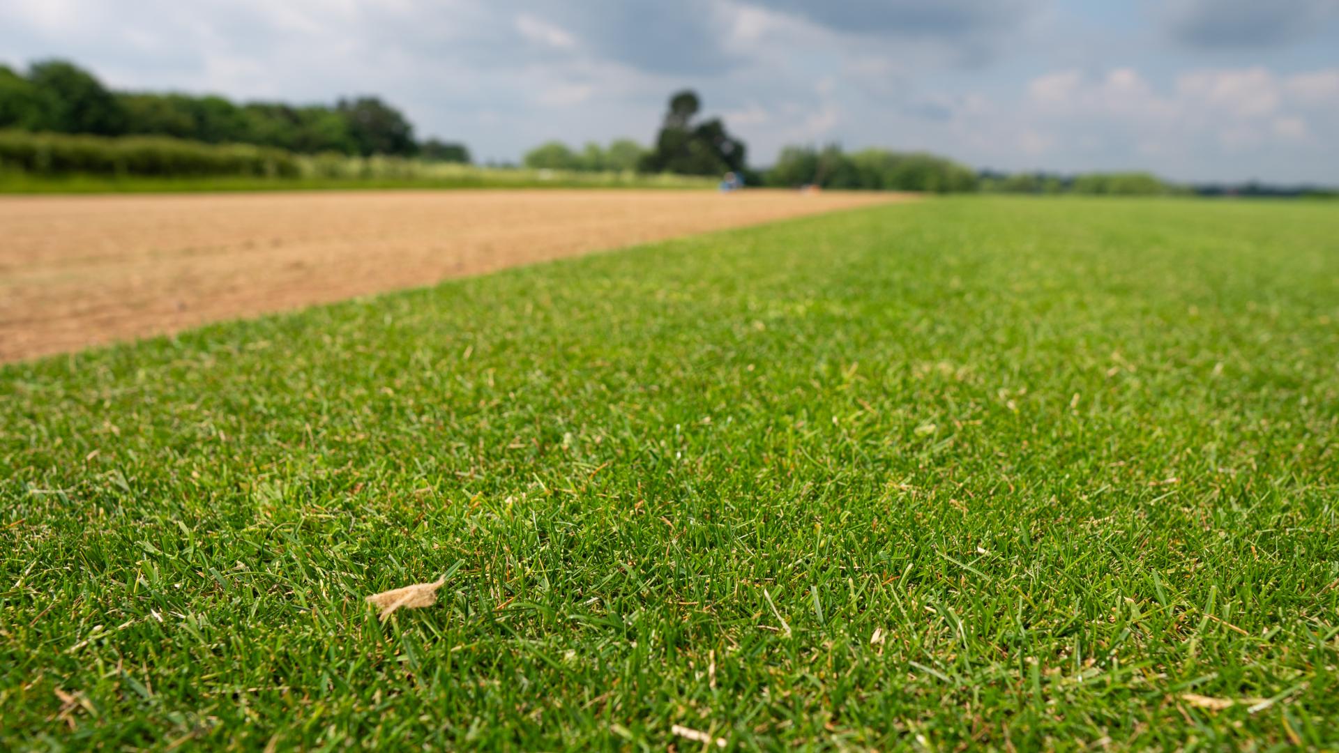 TGA Announces Their Decision to Ban Plastic Netting in Turfgrass Production