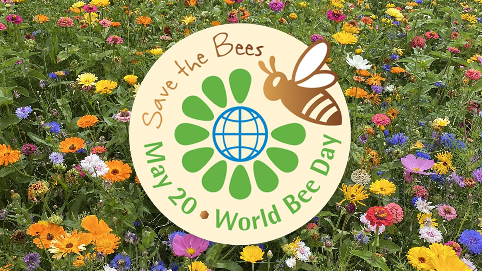 Stock up on Johnson's Lawn Seed’s wildflower mixes for World Bee Day